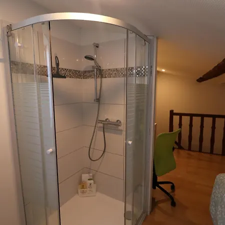Et Salles D'eau Privees Dans Maison A Partager Centre アパート