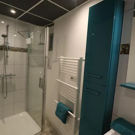 Et Salles D'eau Privees Dans Maison A Partager Centre アパート