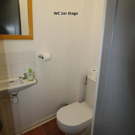 Et Salles D'eau Privees Dans Maison A Partager Centre アパート *